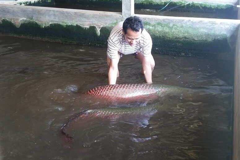 คนกำลังจับปลา
