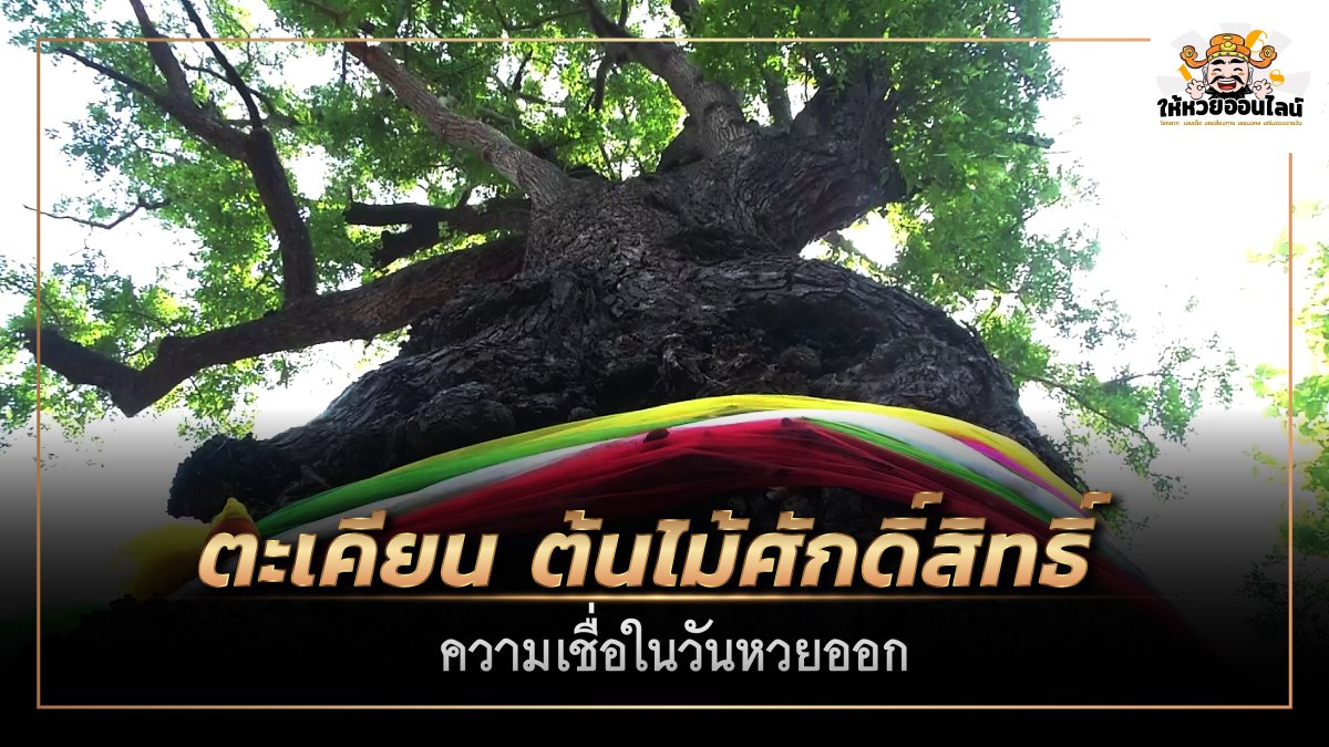 image-เจ้าแม่ตะเคียน ต้นไม้ศักดิ์สิทธิ์ ความเชื่อในวันหวยออก