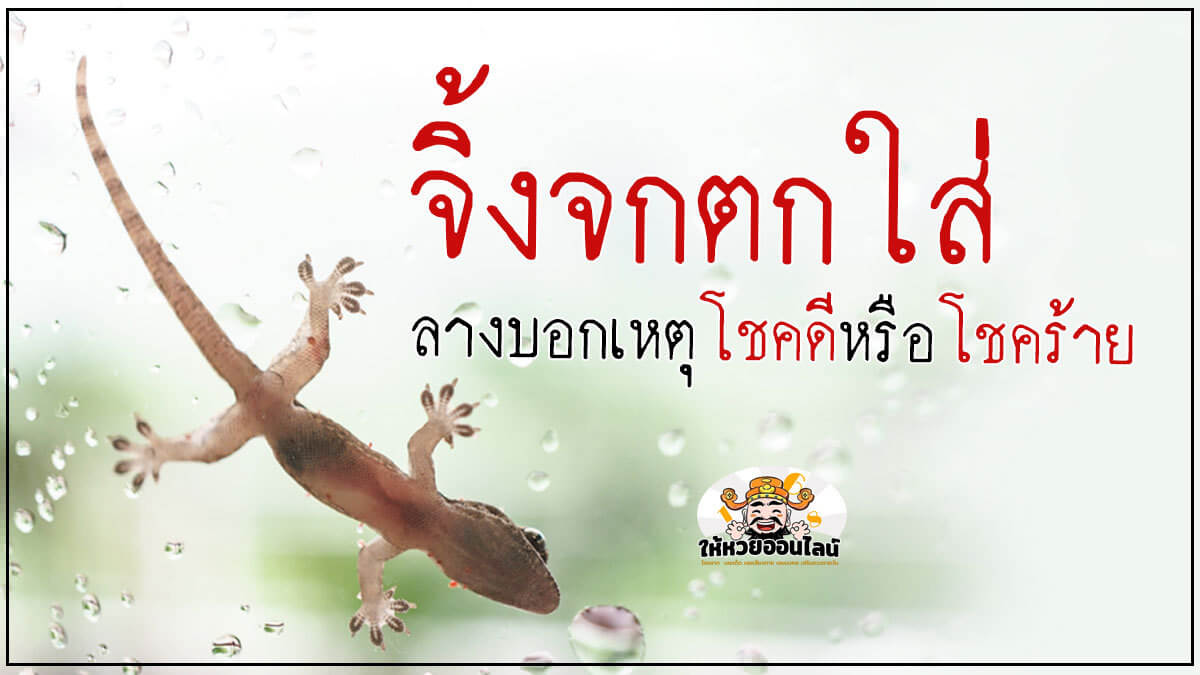 image-blog-news