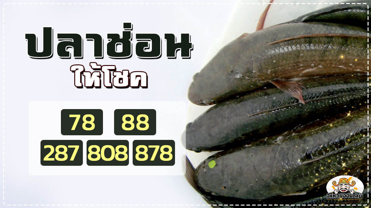 รวมเลขช่อนให้โชค 1200x675