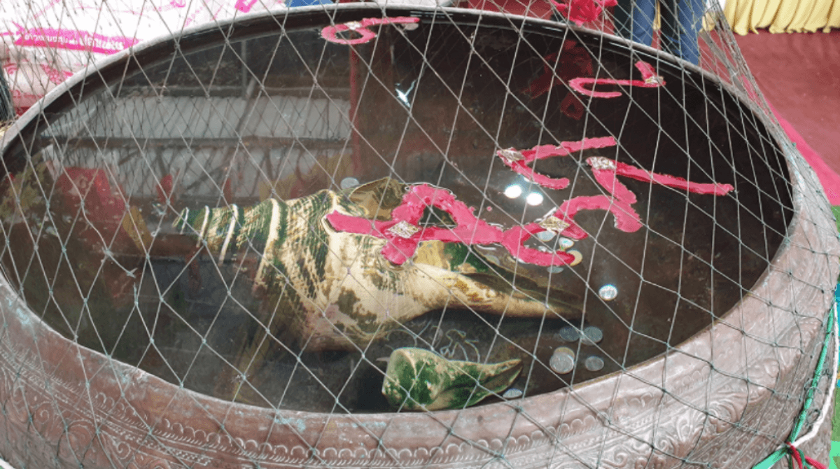ตัวเลขที่ลอยเหนือผิวน้ำภายในอ่างน้ำมนต์ฤาษีเณร