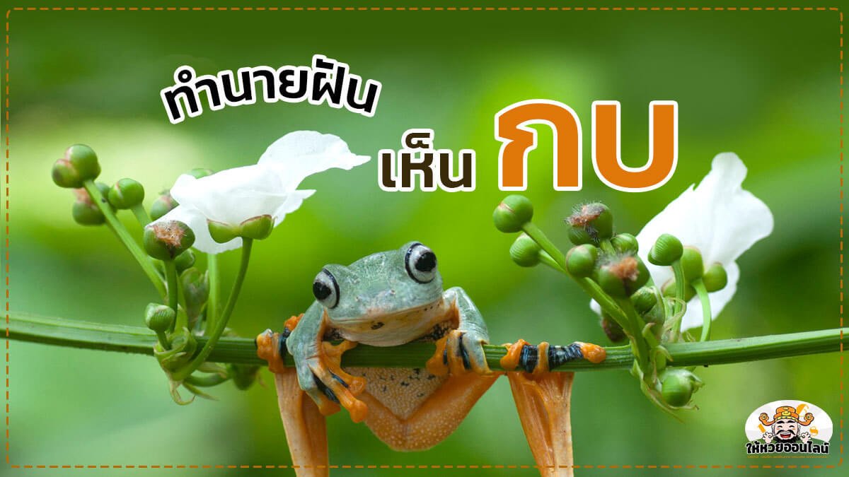 image-blog-news