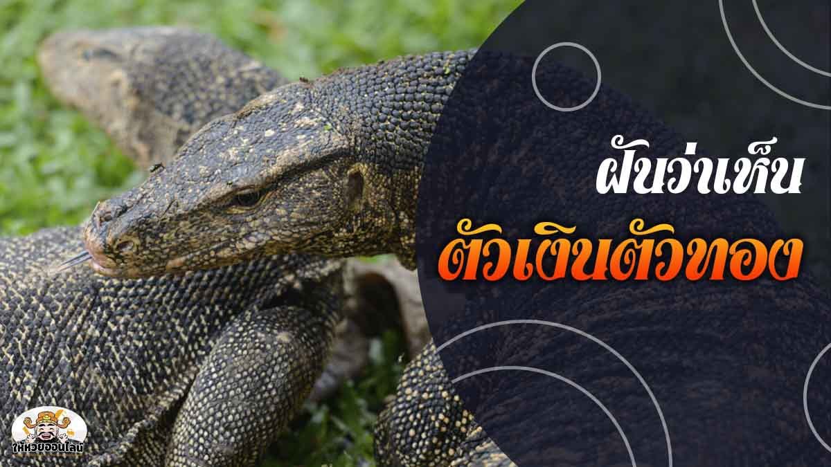 image-สะดุ้งสุดใจ ฝันเห็นตัวเงินตัวทอง บุกเข้ามากัดมือถึงในบ้าน!