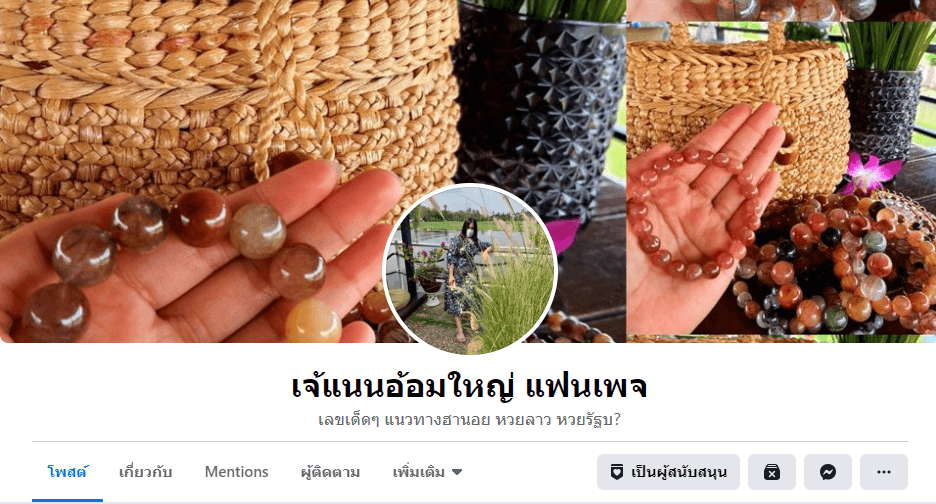 เพจเจ้แนน อ้อมใหญ่