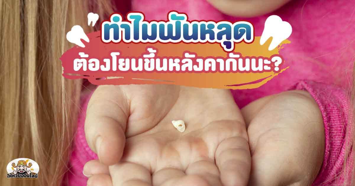 image-เข้าใจใหม่! ความเชื่อ เรื่องฟัน สุขภาพช่องปาก ที่คุณอาจเข้าใจผิดมาตลอดชีวิต