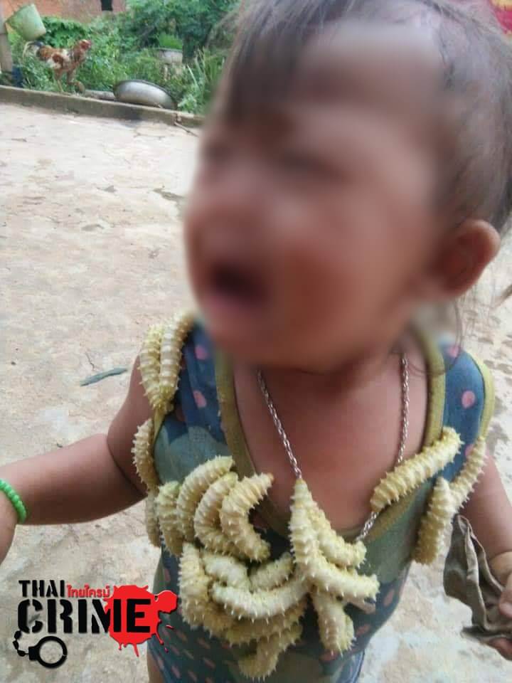 ฝันว่าหนอนขึ้นตัว