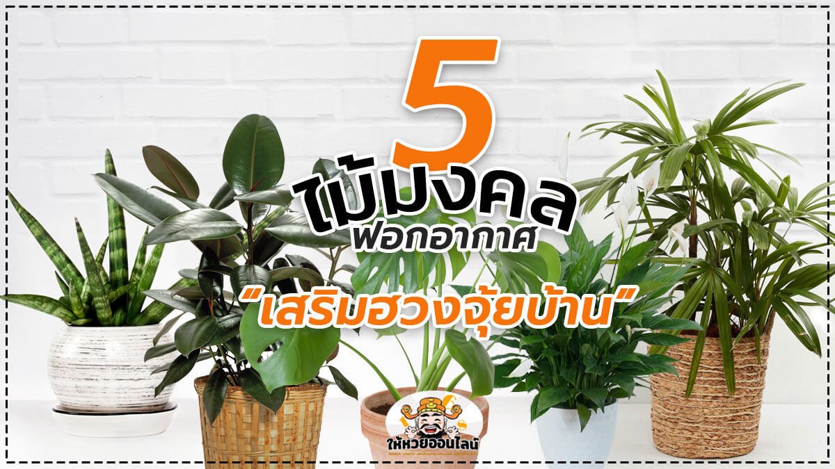 image-blog-news