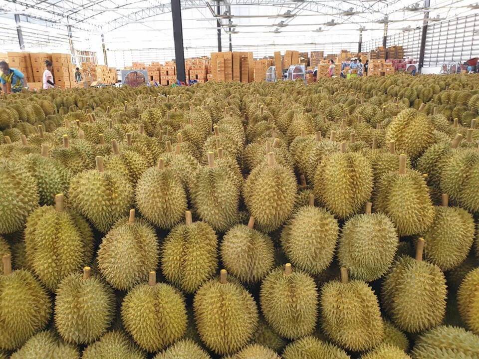 ทุนเรียนเยอะมาก