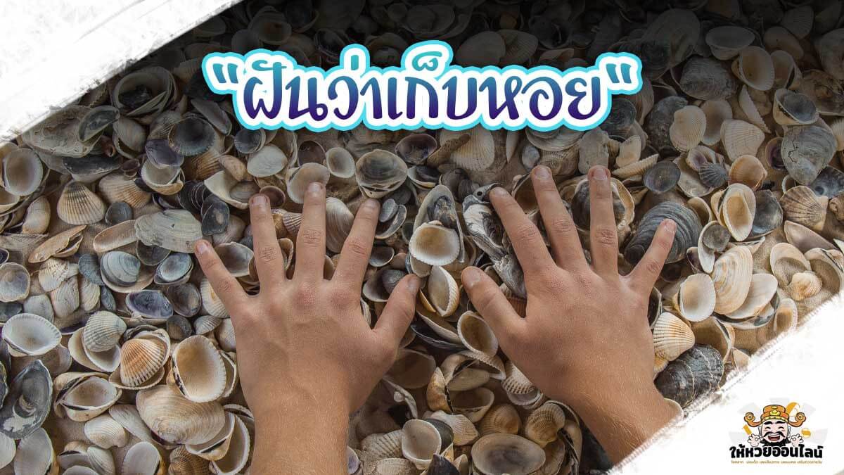 image-ทำนายฝัน ฝันว่าเก็บ "หอย" เครื่องแทนเงินตราในสมัยโบราณ
