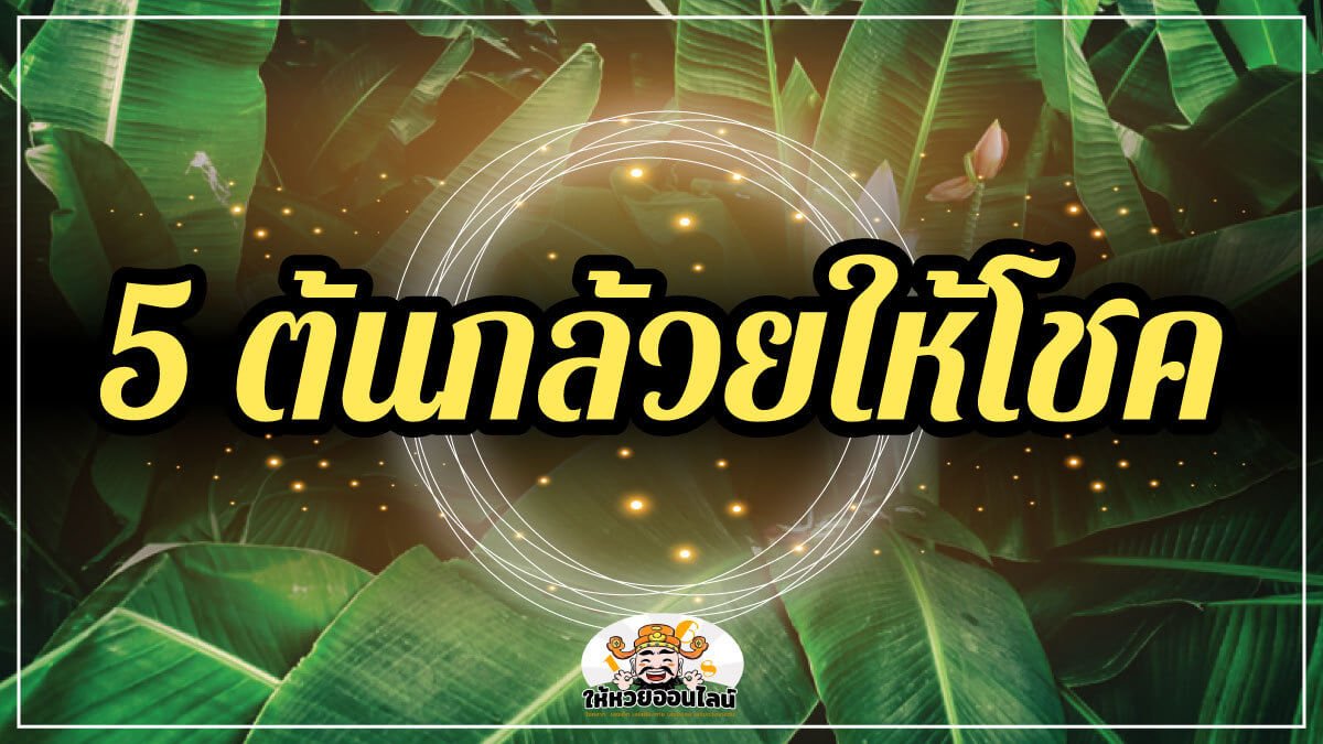 image-5 ต้นกล้วยให้โชค พร้อมตำนานผีตานีที่คอหวยต้องรู้!