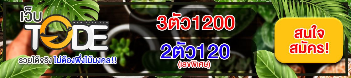 tod69.work
