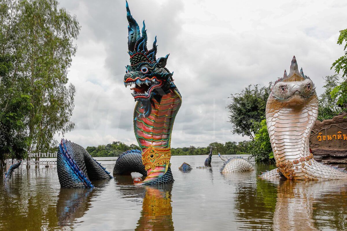 พญานาค
