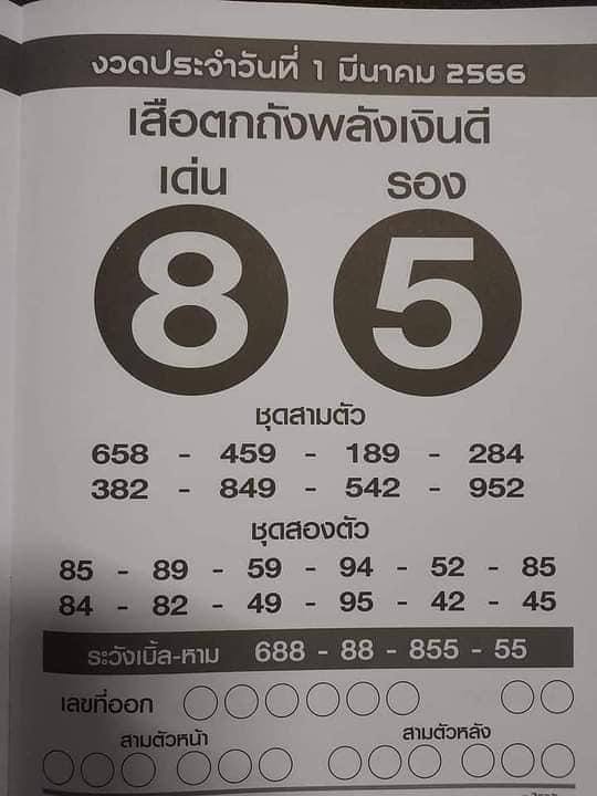 เสือตกถังพลังเงินดี 1/3/66