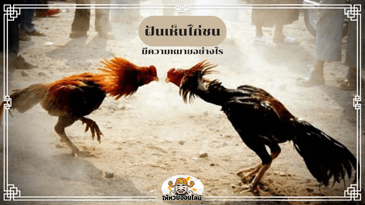 image-blog-news