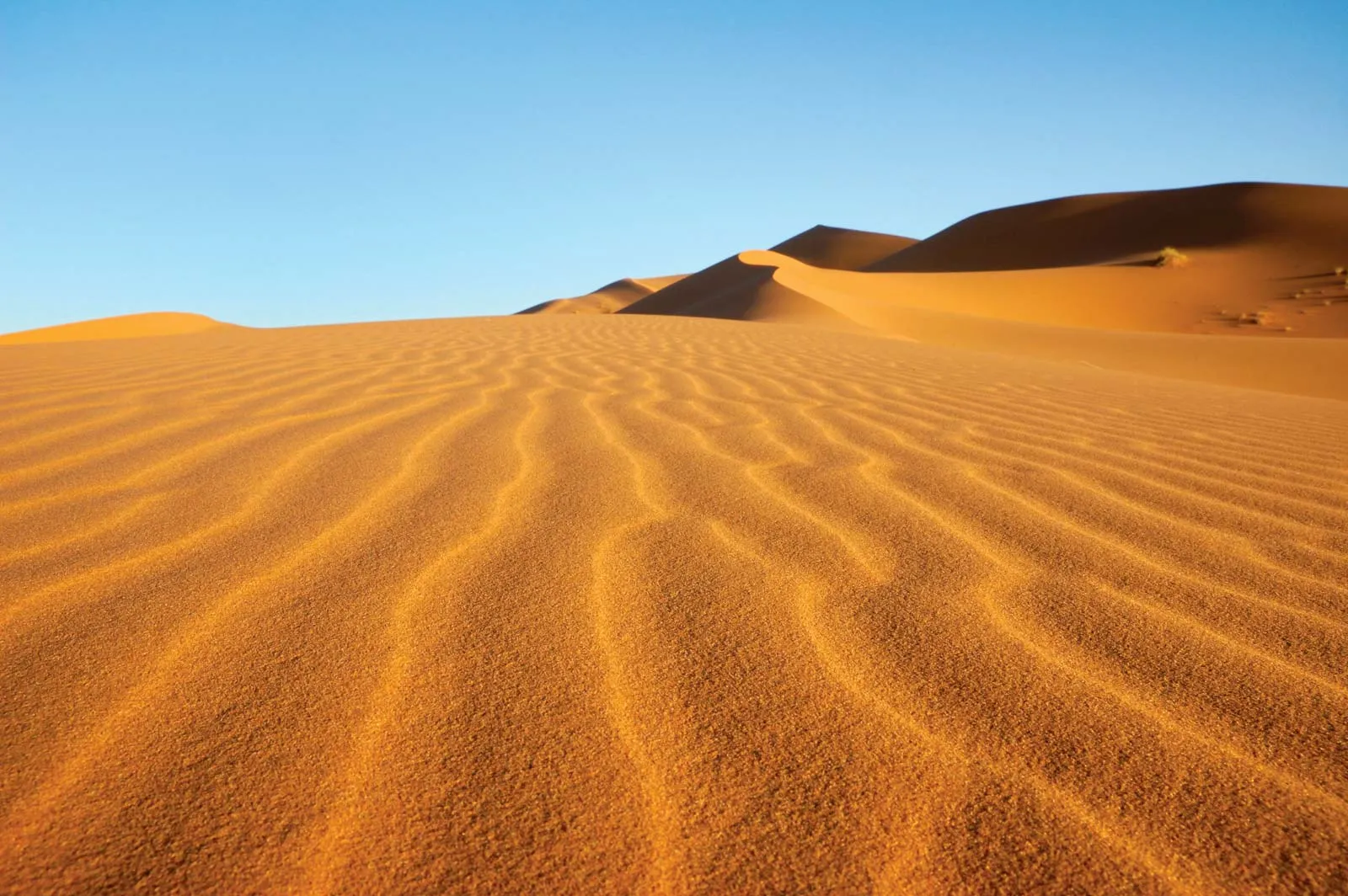 ทะเลทราย sahara