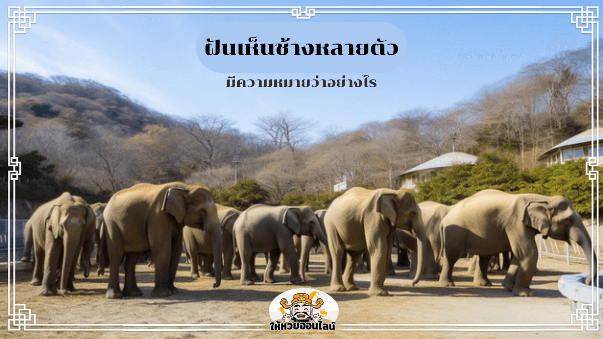 image-blog-news