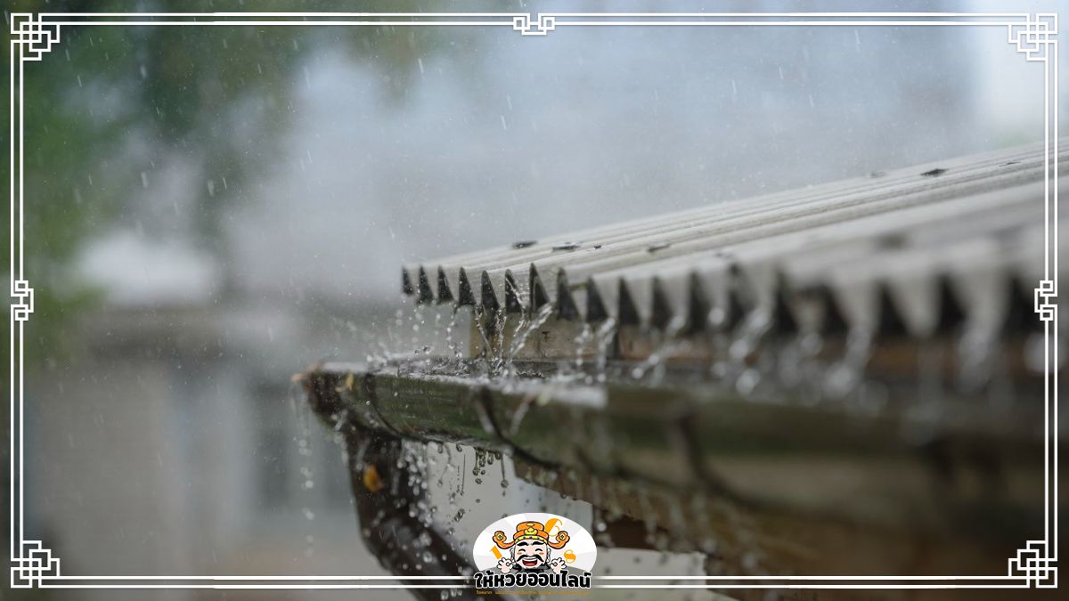 image-ฝันเห็นฝนตก ฝันว่าฝนตก ทำนายดวง การงาน การเงิน ความรัก 2568