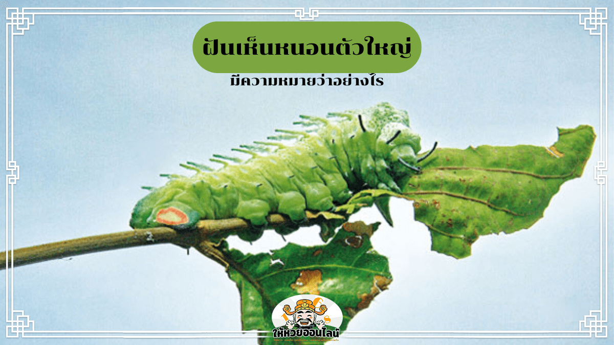 image-blog-news