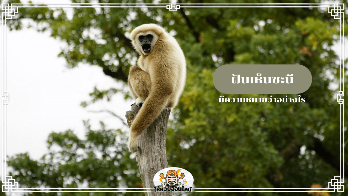 image-blog-news
