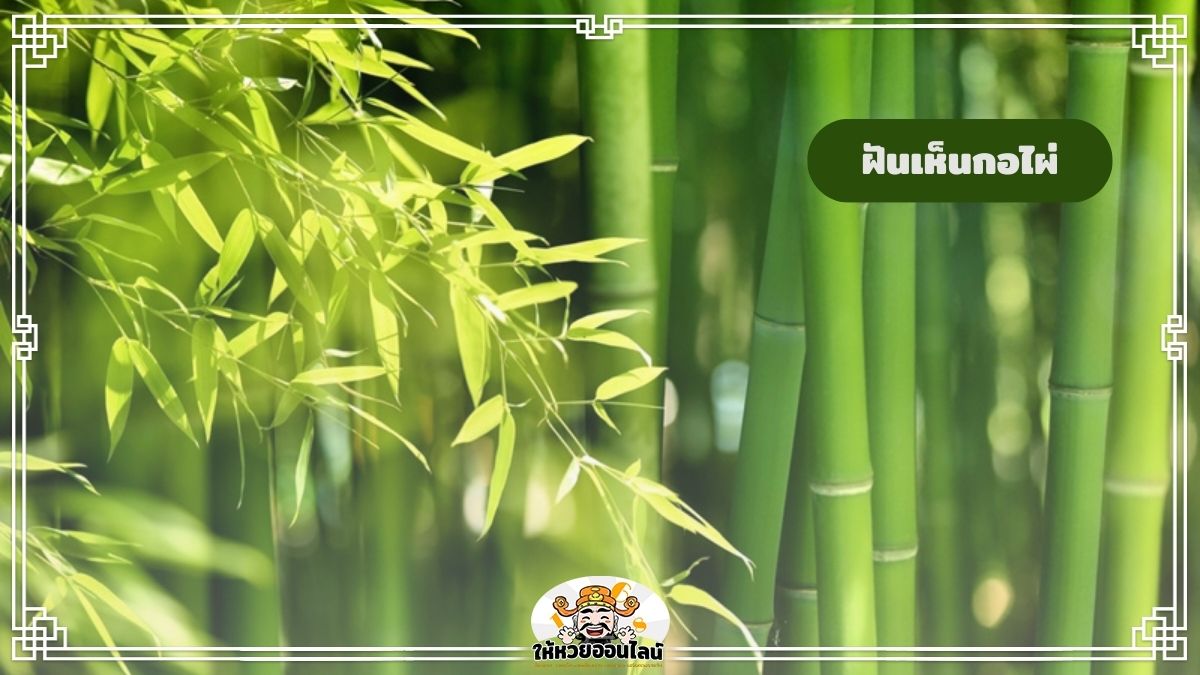 image-ฝันเห็นกอไผ่ ต้นไผ่ ฝันแบบนี้ดีหรือร้ายกันแน่?