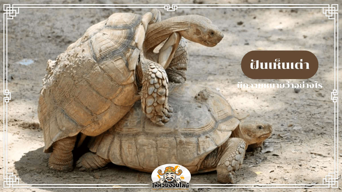 image-blog-news