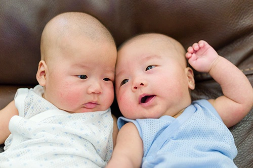 twin