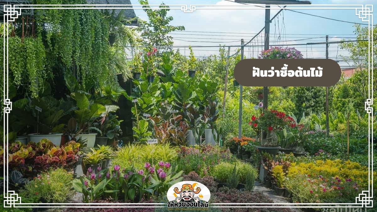 image-ฝันว่าซื้อต้นไม้ ปลูกต้นไม้ ทำนายฝัน พร้อมเลขมงคล