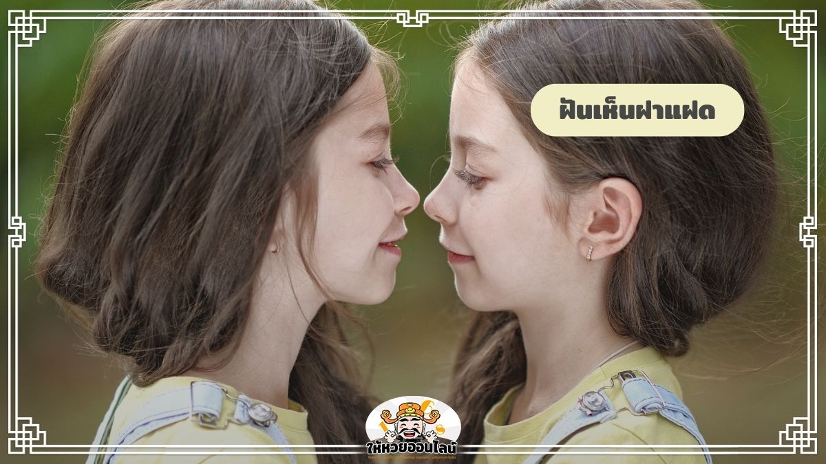 image-ฝันเห็นฝาแฝด ฝันเห็นเด็กแฝด ฝันแบบนี้บ่งบอกอะไร?