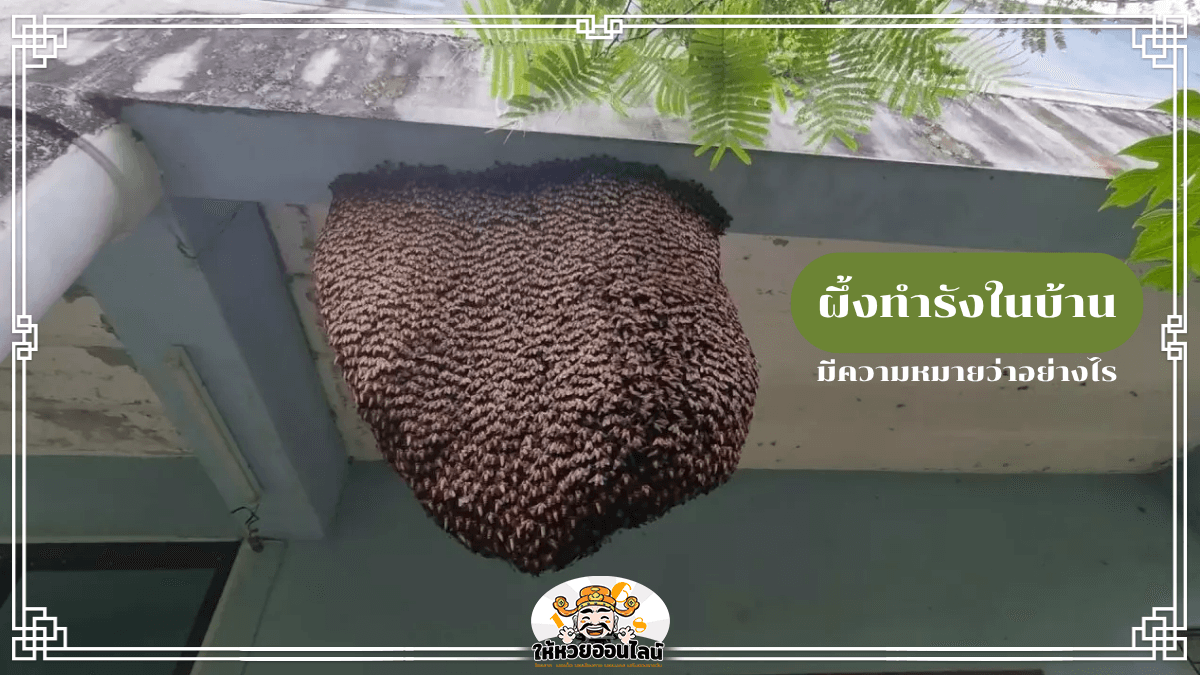 image-ผึ้งทำรังในบ้าน อย่าตกใจ! มันอาจเป็นนิมิตดีในแบบที่คุณไม่รู้!