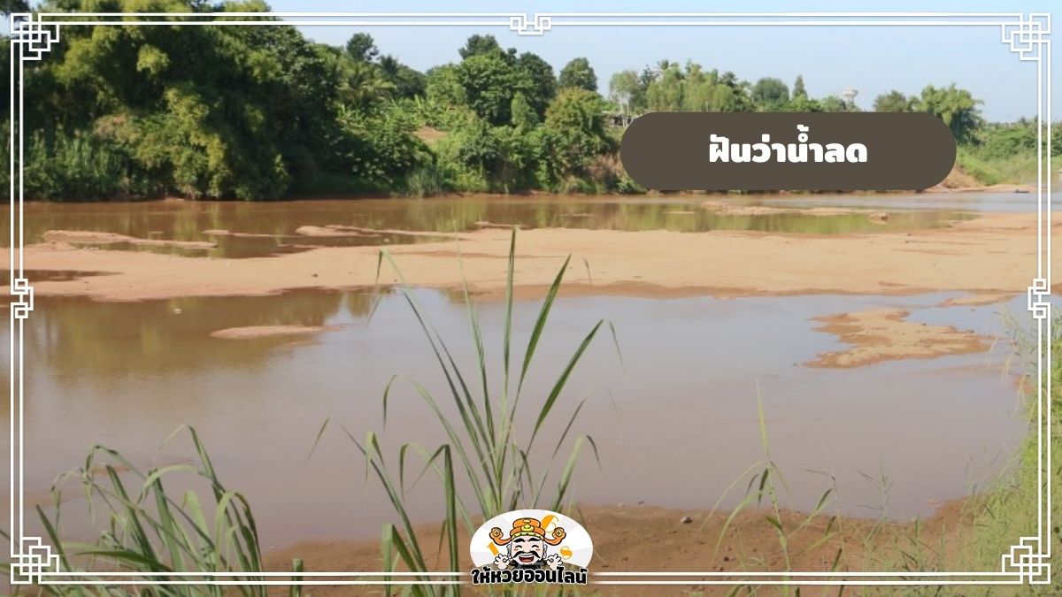 image-ฝันว่าน้ำลด ฝันเห็นภัยแล้ง ฝันแบบนี้หมายถึงอะไร?