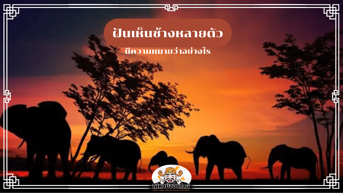 ฝันเห็นช้างหลายตัว มันกำลังบอกอะไรบางอย่างเกี่ยวกับชีวิตคุณ