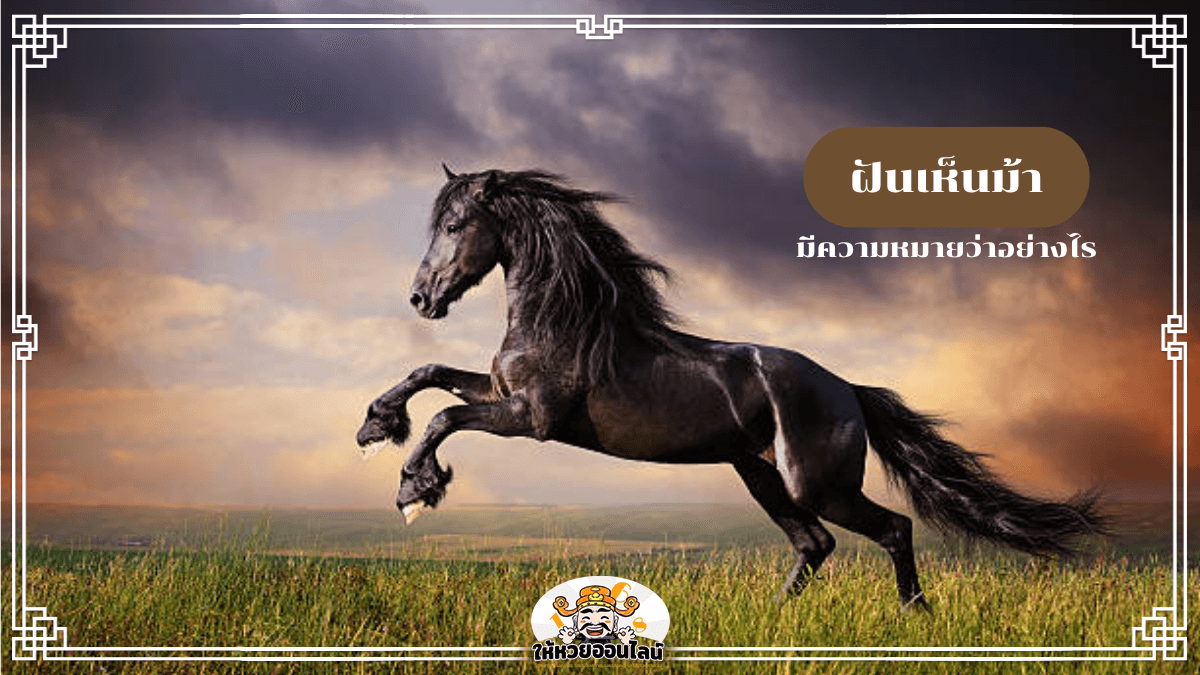 image-ฝันเห็นม้า บอกอะไรเกี่ยวกับดวง การเงิน หรือคนรอบตัว?