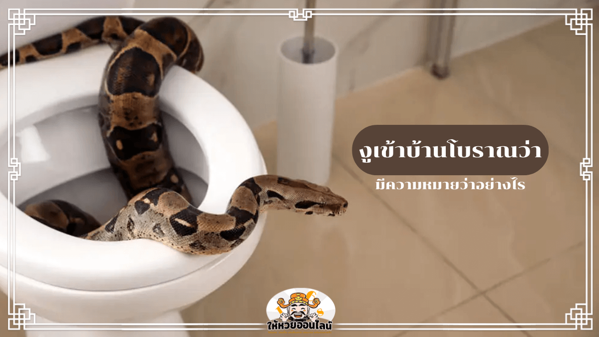 image-งูเข้าบ้านโบราณว่า ลางบอกเหตุ? คำทำนายนี้อาจทำให้คุณอึ้ง!