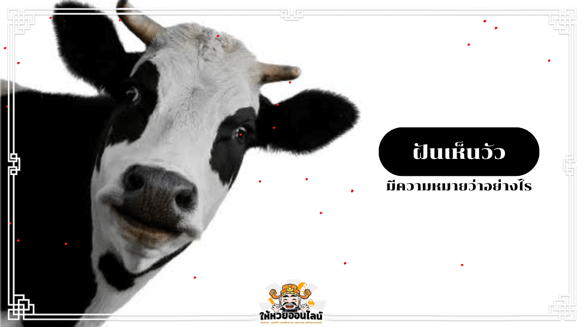 image-ฝันเห็นวัว คำทำนายฝัน พร้อมลุ้นรับตัวเลขพารวย