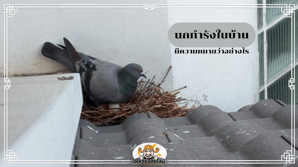 image-นกทำรังในบ้าน ลางดีหรือลางร้าย? เปิดคำทำนายแม่น ๆ