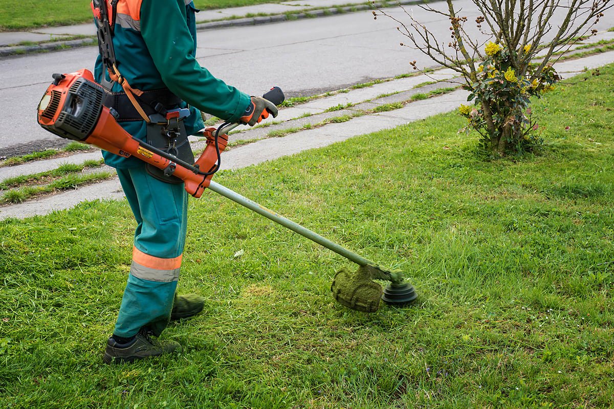 ตัดหญ้า