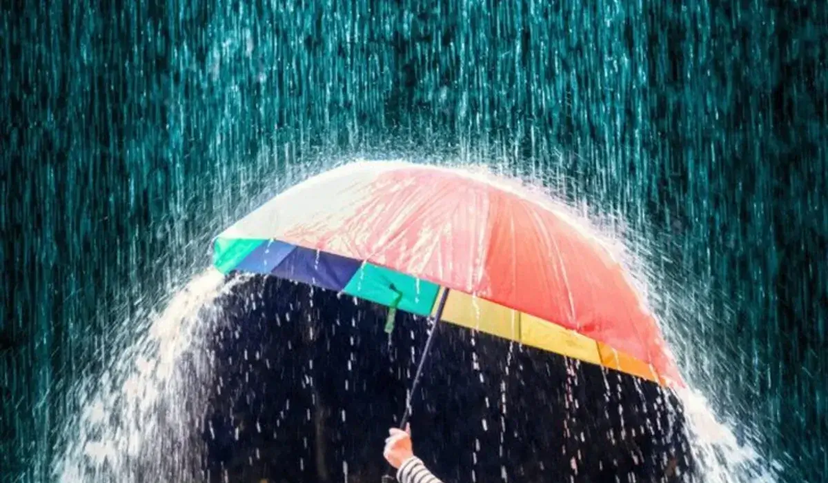 ฝนตกหนัก 