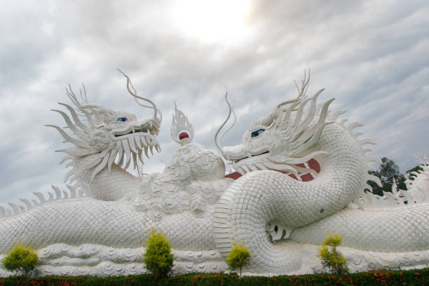 มังกรขาว