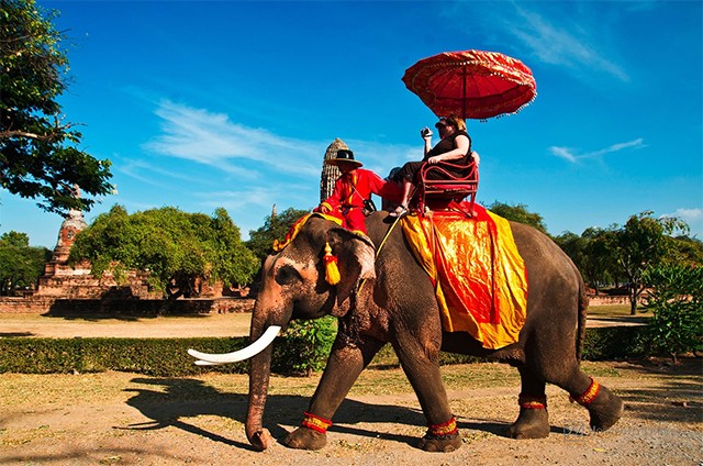 ขี่ช้างชมเมือง