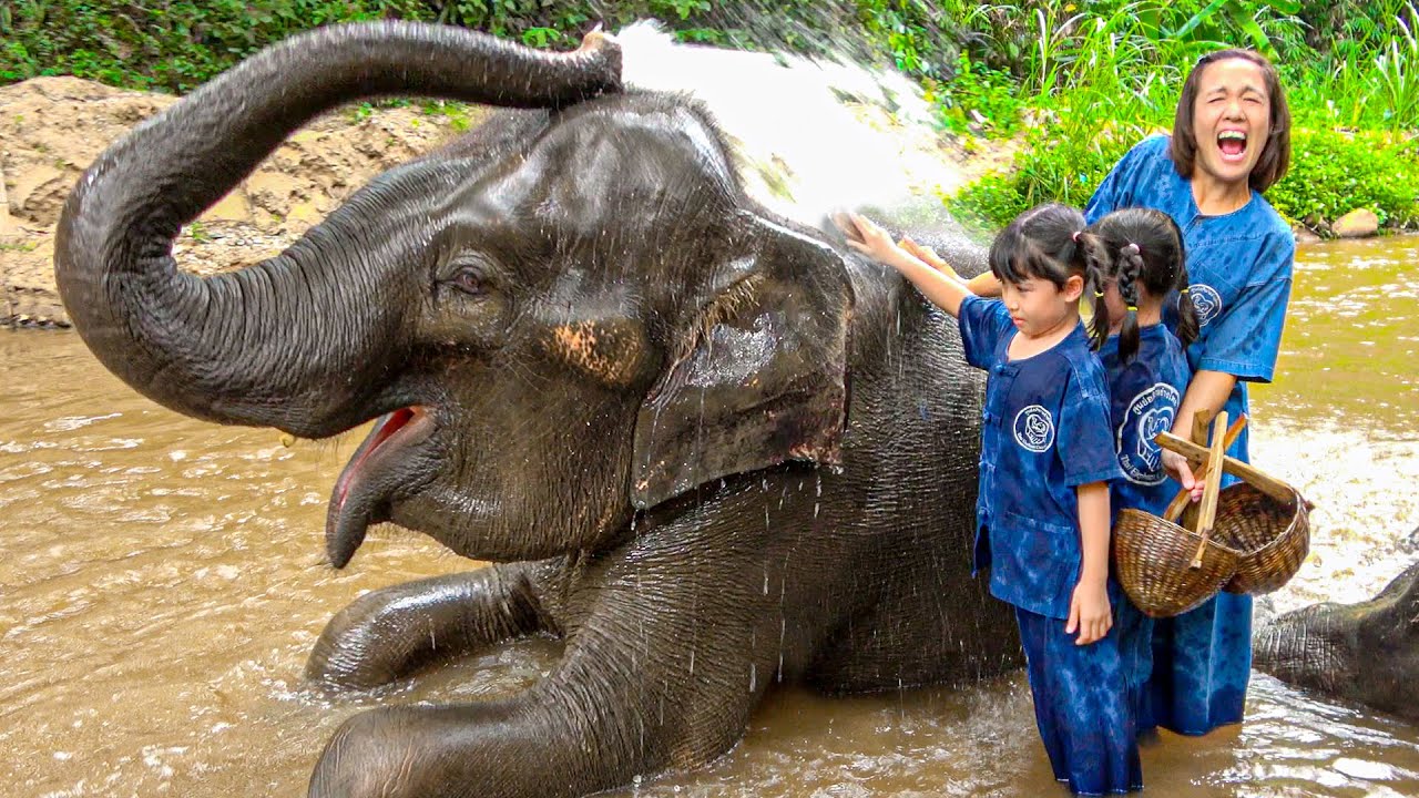 อาบน้ำช้าง