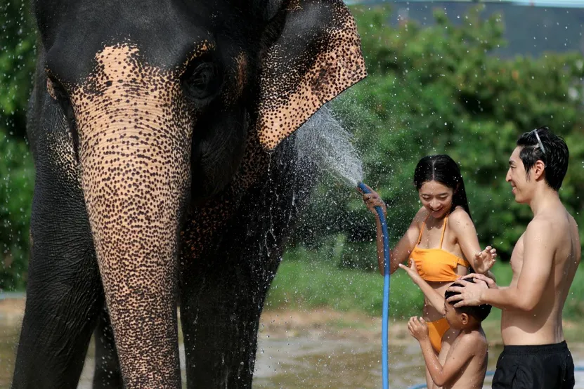 อาบน้ำให้ช้าง