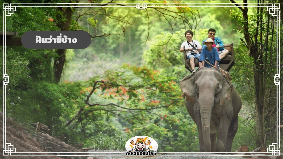 image-ฝันว่าขี่ช้าง ทำนายฝัน ‘ขี่ช้าง’ ส่องความหมายแม่นๆ ครบทุกด้าน