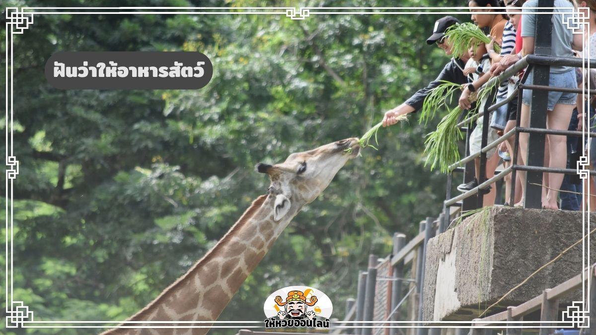 image-ฝันว่าให้อาหารสัตว์ ฝันแบบนี้มีเกณฑ์รับโชค จริงไหม? เช็กที่นี่