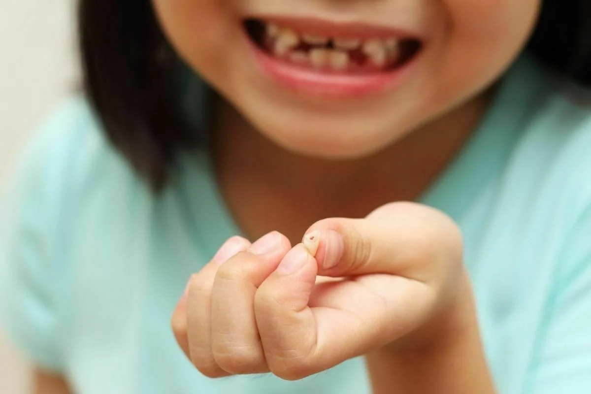 ฟันหลุด 1 ซี่