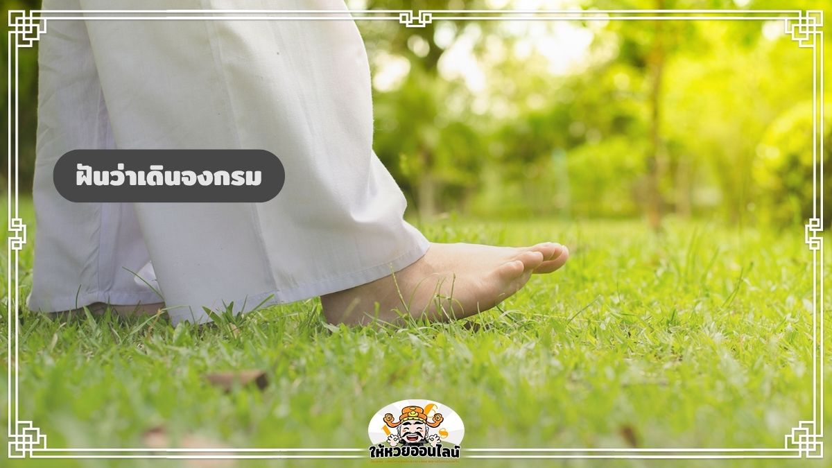 image-ฝันว่าเดินจงกรม ฝันว่าปฏิบัติธรรม เผยความเชื่อ ส่งความหมาย 2569