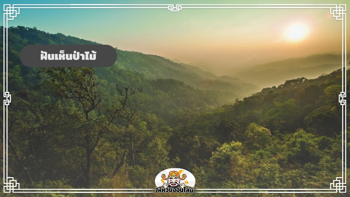 image-ฝันเห็นป่าไม้ ฝันเห็นต้นไม่ใหญ่ เช็กคำทำนาย ความหมายจากฝัน