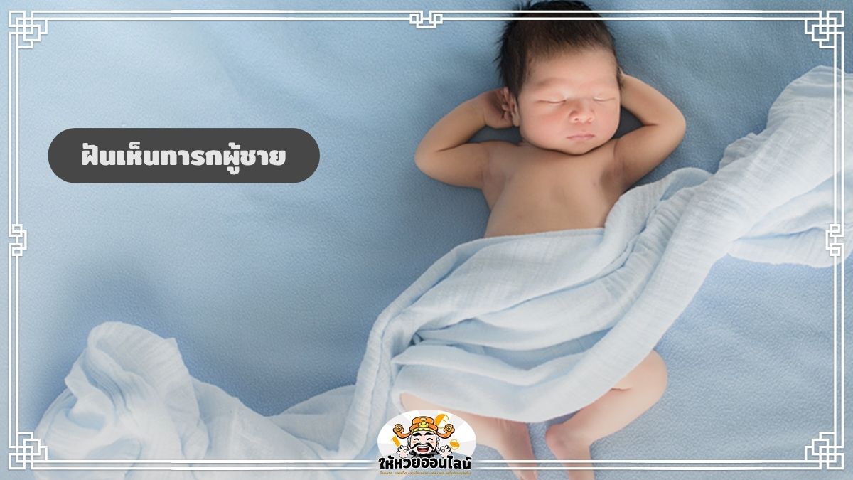 image-ฝันเห็นทารกผู้ชาย ฝันเห็นเด็กผู้ชาย ฝันแบบนี้สื่อความหมายอย่างไร?