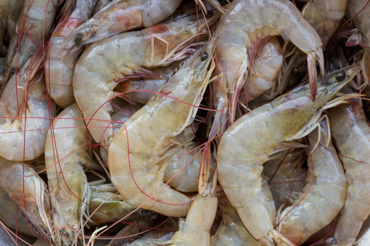 กุ้ง