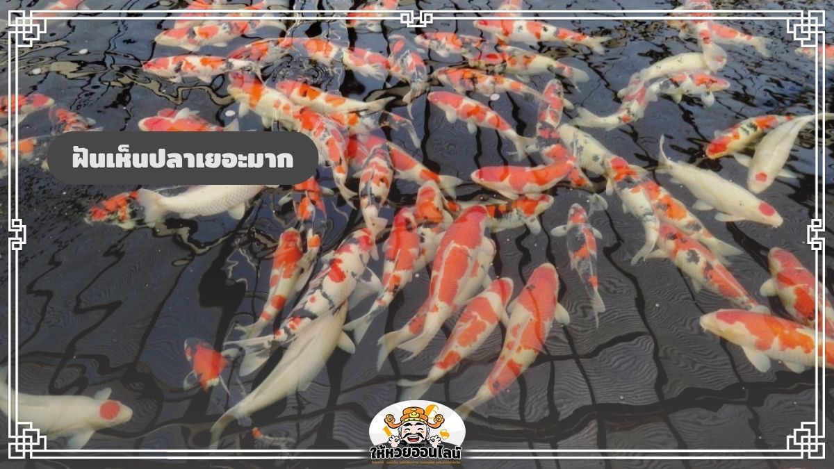 image-ฝันเห็นปลาเยอะมาก รับทรัพย์ก้อนใหญ่กำลังมาใช่หรือไม่?